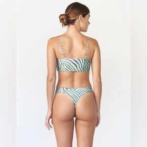 Acacia NWT Brazil bottom in Savanna